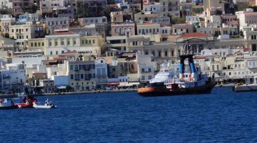 Σύρος: 13χρονος νοσηλεύεται σε σοβαρή κατάσταση μετά από δάγκωμα οχιάς