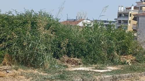 Ακαθάριστα οικόπεδα 2026: Πότε λήγει η προθεσμία για τις δηλώσεις - Τσουχτερά πρόστιμα