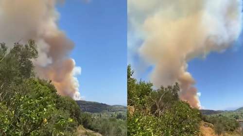 Φωτιά στο Σκάλωμα Φωκίδας: Ενισχύθηκαν οι πυροσβεστικές δυνάμεις - Πληροφορίες για καμένα σπίτια [βίντεο]