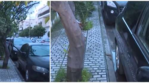 Ελευσίνα: "Πέθανε μέσα σε τρία λεπτά, τη βρήκε κλαδί στον λαιμό" - Η ανατριχιαστική περιγραφή για την 72χρονη