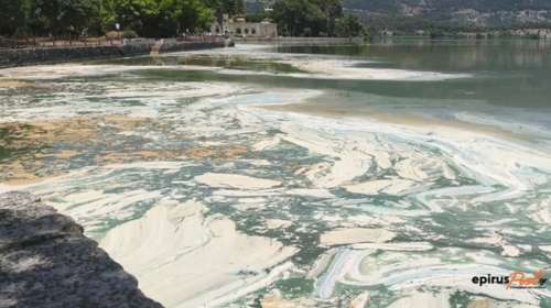 Ιωάννινα: Άλλαξε χρώμα η λίμνη Παμβώτιδα - Φυτοπλαγκτόν και έντονη δυσοσμία σε παράκτιες περιοχές [βίντεο]