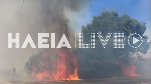 Ηλεία: Σε ύφεση οι πυρκαγιές σε Γαστούνη και Μέλισσα - Η άμεση κινητοποίηση των εναέριων πρόλαβε την εξάπλωσή τους