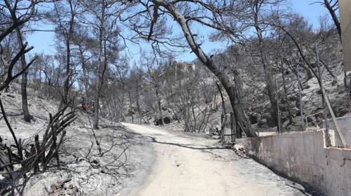 Δύο συλλήψεις για πρόκληση πυρκαγιών σε Αττική και Εύβοια