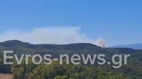 Φωτιά σε δασική έκταση στο Σουφλί: Πέρασε από τη Βουλγαρία - Ισχυρές δυνάμεις στα σύνορα