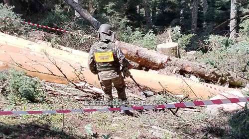 Ευρυτανία: Εντοπίστηκε  αμυντική χειροβομβίδα τύπου mills στο δάσος από υλοτόμους