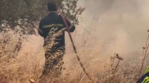 Φωτιά στην Αττικοβοιωτία: Πυροσβέστες, εθελοντές, κάτοικοι και εργάτες με κλαδιά δίνουν μάχη για να περιορίσουν τα μέτωπα