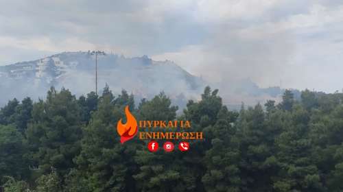Φωτιά στη Φιλοθέη, δίπλα στο Άλσος Βεΐκου: Άμεση κινητοποίηση της Πυροσβεστικής - Σηκώθηκαν ελικόπτερα