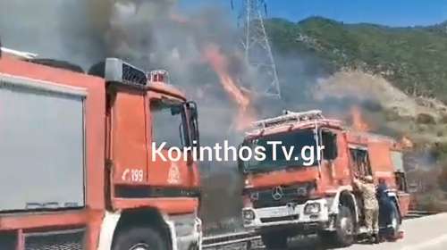Φωκίδα: Φωτιά στην περιοχή Σκάλωμα - Σηκώθηκαν εναέρια μέσα, εστάλη 112
