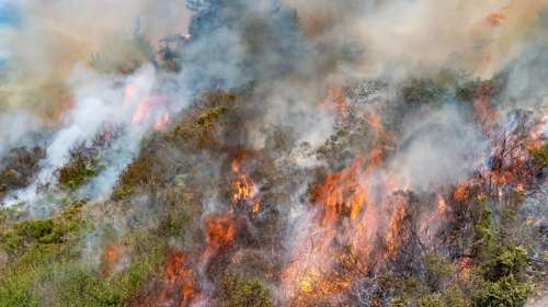 Χανιά: Συνελήφθη 45χρονη για εμπρησμό – Έκαψε προσωπικά αντικείμενα κοντά σε δασική έκταση