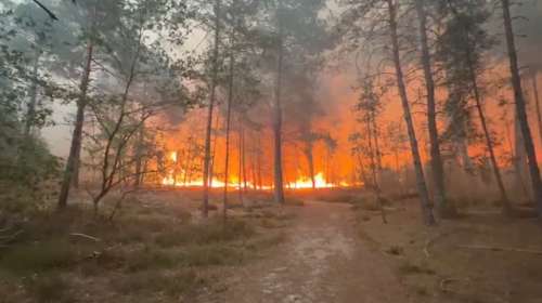 Γαλλία: Τεράστια φωτιά έξω από το Παρίσι - Στις φλόγες το δάσος του Φοντενεμπλό [εικόνες - βίντεο]