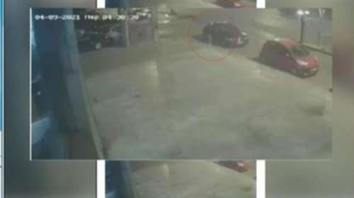 "Δήμητρα της Λέσβου": Φωτογραφικά ντοκουμέντα από τη στιγμή που παρασύρθηκε από ΙΧ -  Ψυχορραγούσε δύο ώρες