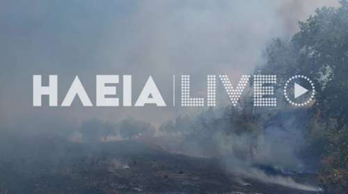 Ηλεία: Φωτιά σε γεωργική έκταση στο Τραγανό Πηνειού και στη Δίβρη