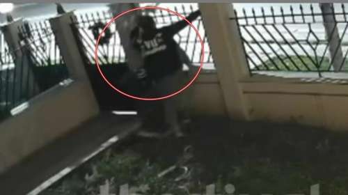 Ο "κλέφτης" των Χριστουγέννων: Αρπαξε δέντρο και στολίδια από αυλή σπιτιού στη Θεσσαλονίκη [βίντεο]