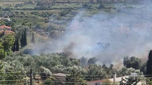 Φωτιά τώρα στα Σπάτα: Ήχησε το 112 στην περιοχή - Σε εξέλιξη μεγάλη επιχείρηση κατάσβεσης