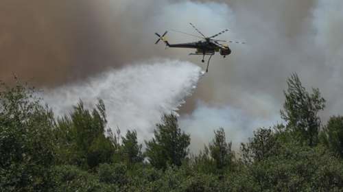 "Μπαράζ" εμπρησμών στη Σίνδο: 59χρονος φέρεται να έβαλε έξι φωτιές μέσα σε τέσσερις ημέρες