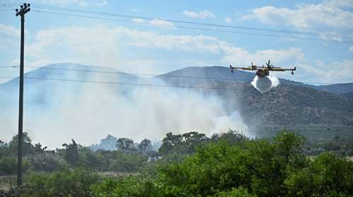 Συνελήφθη 58χρονος για πυρκαγιά σε φωτοβολταϊκό πάρκο στο Ξυλόκαστρο