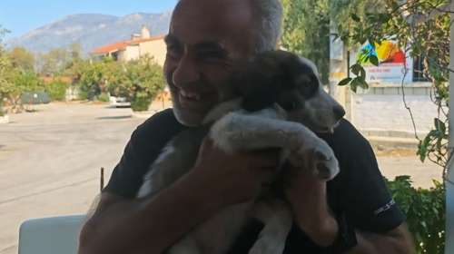 Ένα μικρό "θαύμα" μέσα στις φλόγες: Ο Μπρούνο το κουτάβι που σώθηκε από τον Μάρκο - "Χτυπά ακόμα γρήγορα η καρδιά του"