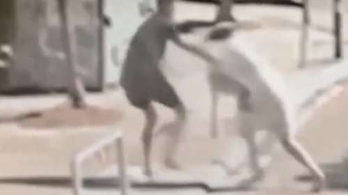 Αττική: Θρασύτατοι ληστές "χτυπούσαν" έξω από σταθμούς ΗΣΑΠ - Εστηναν καρτέρι σε ηλικιωμένους - Βίντεο-ντοκουμέντο