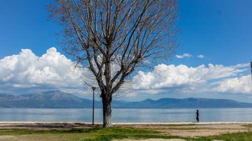 Σκάλα Ωρωπού: Μπάζωσαν τη θάλασσα σε περιοχή Natura – "Περιβαλλοντικό έγκλημα", λέει ο δήμαρχος