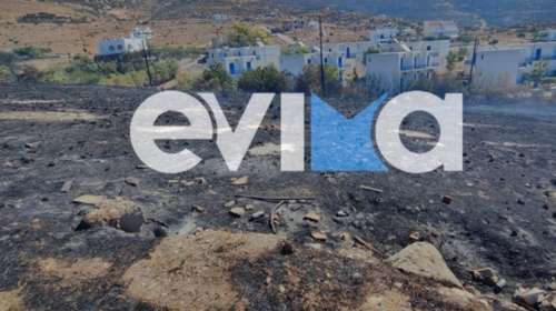 Εύβοια: Μία σύλληψη για φωτιά που ξέσπασε στον Αετό Καρύστου