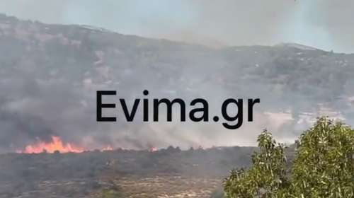 Φωτιά τώρα σε δασική έκταση στο Παρθένι Εύβοιας -  Ήχησε το 112 για ετοιμότητα
