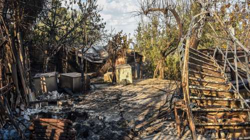 Οι επιπτώσεις από τις φωτιές του Αυγούστου σε Πάτρα και Δ. Αχαΐα -Έλεγχοι σε περιβάλλον και τροφική αλυσίδα
