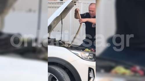 Λάρισα: Γυναίκα άκουγε θόρυβο από το αυτοκίνητό της και μέσα στη μηχανή υπήρχε φίδι 1,5 μέτρο