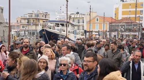 Συναγερμός για τον αφθώδη πυρετό: Σε απόγνωση οι κτηνοτρόφοι της Λέσβου - "Άμεση στελέχωση κτηνιατρικών υπηρεσιών"