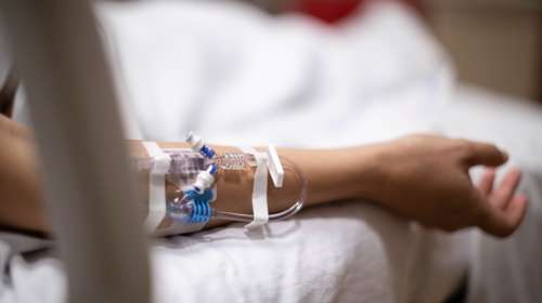 Στην εντατική 58χρονος από δάγκωμα οχιάς: Είχε πάει να μαζέψει ξύλα