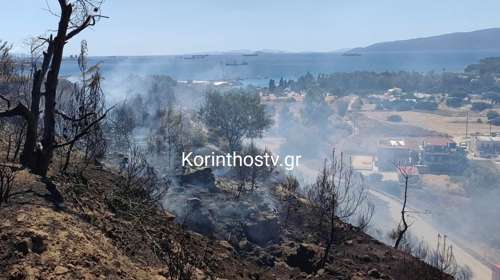 Κόρινθος: Φωτιά τώρα στη Γαλότα Ισθμίας – Επιχειρούν πυροσβέστες και εθελοντές