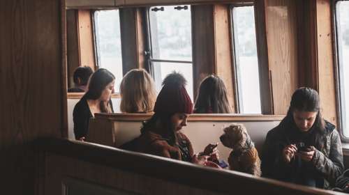 Νέοι κανόνες για τα ζώα συντροφιάς που ταξιδεύουν στην EE