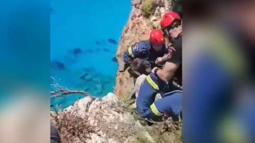 Ζάκυνθος: Εντυπωσιακή διάσωση σκύλου που εντοπίστηκε σε επικίνδυνο γκρεμό - Βίντεο που κόβει την ανάσα