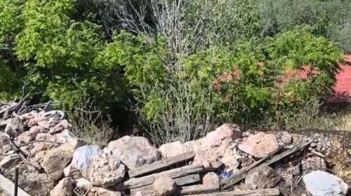 Κυψέλη: "Βρήκα τη σακούλα κυνηγώντας μια μπάλα - Προεξείχε κάτι σαν λείψανο" - Τι λέει ο άνθρωπος που εντόπισε τα οστά