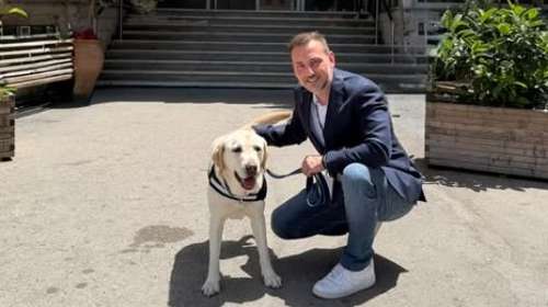 Νοσοκομείο "Μεταξά": Έπιασε "δουλειά" o σκύλος θεραπείας, Ντύλαν - Δίπλα στους ογκολογικούς ασθενείς