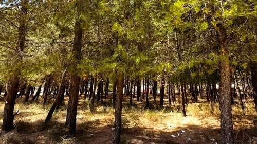 Επτά στις δέκα περιοχές Natura προστατεύονται από ΕΠΜ - Τι σηματοδοτεί η απόφαση για τα Ιωάννινα