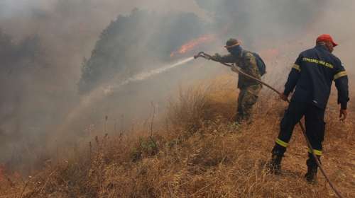 Φωτιά στο Λασίθι: Καίει χαμηλή βλάστηση κοντά στον οικισμό Καρύδι - Στάλθηκε 112 για ετοιμότητα