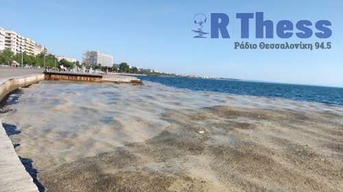 Θεσσαλονίκη: Καφέ "πέπλο" από φυτοπλαγκτόν στον Θερμαϊκό -Εντονη η δυσοσμία στην παραλία [εικόνες]