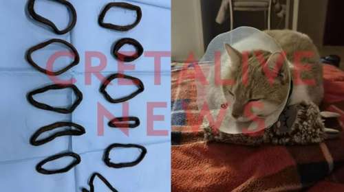 Η... "τρελοκοτσιδού" Μιέλ κατάπιε  ούτε ένα, ούτε δύο, ούτε τρία αλλά 11 λαστιχάκια για τα μαλλιά