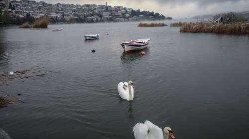 Καστοριά: Ανέβηκε 18 εκατοστά η στάθμη της λίμνης από την κακοκαιρία - Μεγάλες καταστροφές σε καλλιέργιες