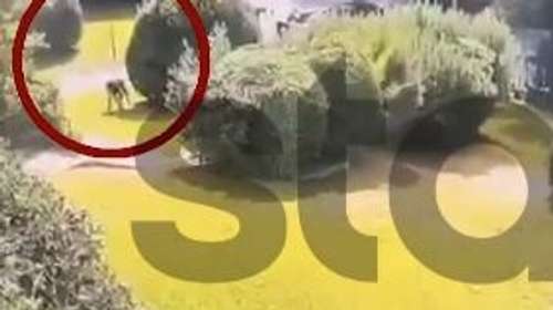 "Βάλτε τα χρυσαφικά στη λεκάνη": Καρέ - καρέ η δράση Ρομά που παρίσταναν τους τεχνικούς της ΔΕΗ