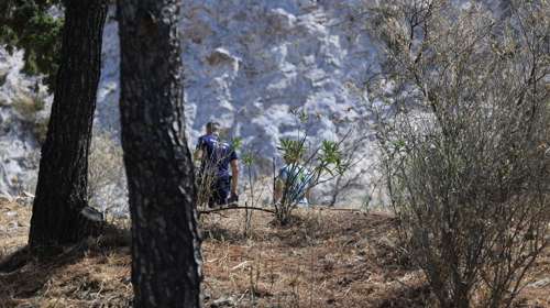 Υψηλός κίνδυνος πυρκαγιάς στην Αθήνα: Σε αυξημένη ετοιμότητα ο δήμος - Κλείνει ο Λόφος Φινόπουλου