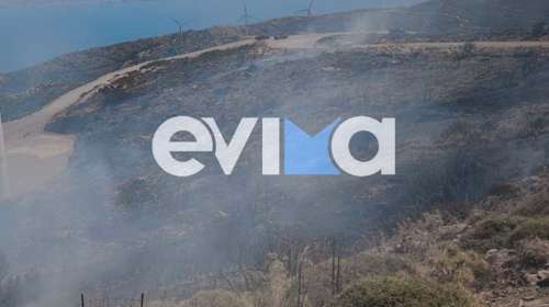 Φωτιά τώρα στην Κάρυστο Ευβοίας - Σηκώθηκαν δύο εναέρια μέσα