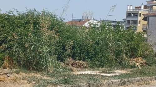 Ακαθάριστα οικόπεδα: Ώρα μηδέν για τη λήξη της παράτασης - Οι προθεσμίες και τα πρόστιμα