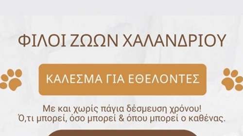 Κάλεσμα για εθελοντές από τους Φίλους Ζώων Χαλανδρίου: Ο,τι μπορεί, όσο και όπου μπορεί ο καθένας