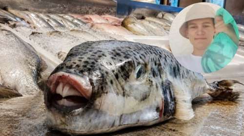 Δεινός ψαράς ηλικίας... 15 ετών έπιασε 158 λαγοκέφαλους - Πήρε το πρώτο βραβείο και κέρδισε ένα καλάμι