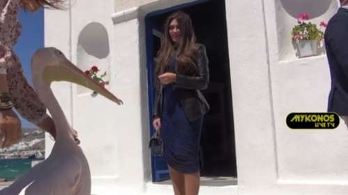Κίμπερλι Γκίλφοϊλ: Η συνάντηση με τον Πέτρο τον πελεκάνο στη Μύκονο - Γιατί είπε μ@λ@κ@ τον συνεργάτη της [βίντεο]
