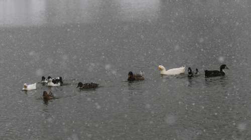 Meteo: Παγετός σήμερα το πρωί - Οι 8 περιοχές που "ξύπνησαν" με -5