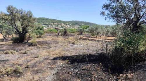 Αίγινα: Σύλληψη 62χρονης για εμπρησμό από αμέλεια – Έκαιγε απορρίμματα στην αυλή του σπιτιού της