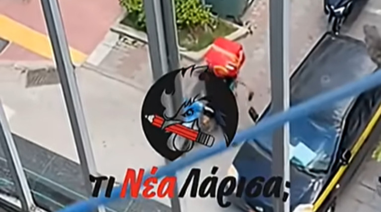 ΛΑΡΙΣΑ ΔΙΑΝΟΜΕΑΣ ΕΠΙΘΕΣΗ