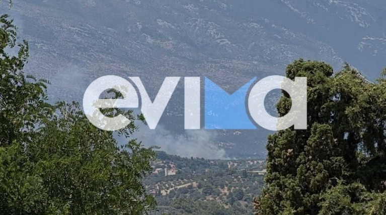φωτια ευβοια